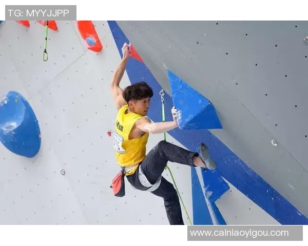 北京攀岩队在全国攀岩耐力排行榜中荣获第五名的佳绩分析