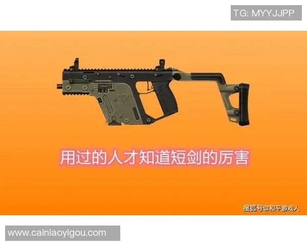 和平精英赛事分析:深入探讨BLG战队的实力与战术优势 和平精英赛事分析:深入探讨BLG战队的实力与战术优势